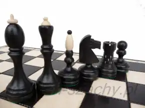 Қара және ашық турнирлік фигуралар
